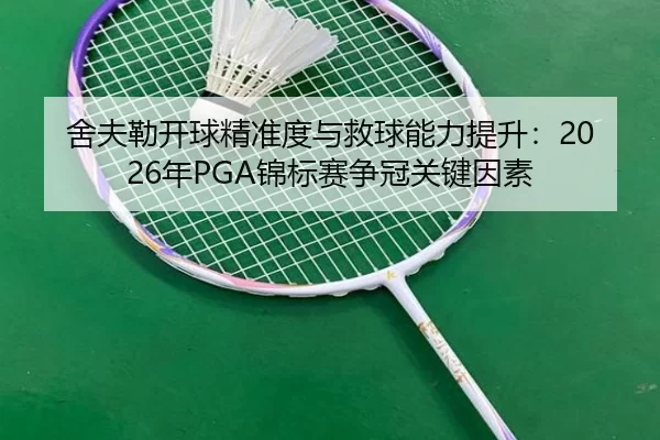 she-fu-lei-kai-qiu-jing-zhun-du-yu-jiu-qiu-neng-li-ti-sheng-nian-jin-biao-sai-zheng-guan-guan-jian-yin-su-2-186.jpg